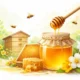 تولید عسل با کیفیت — راهنمای عملی از مزرعه تا بسته‌بندی